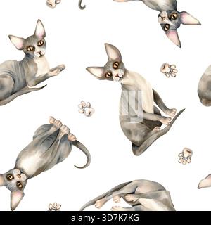 Motif sans couture animal chat Sphinx. Chaton sans poils Sphynx, peau chauve, patte, ornement domestique de répétition d'animal de compagnie gris mignon, fond. Aquarelle isolée Banque D'Images