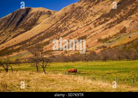 Vallée de Glen Nevis dans les Highlands écossais, Écosse Banque D'Images