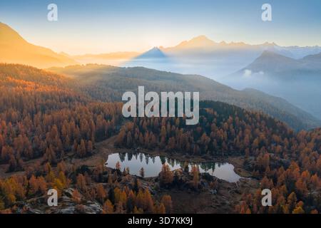Vue aérienne du lac Mufule et du mont Disgrazia entourés de mélèzes en automne. Valmalenco, Valtellina, Sondrio, Lombardie, Italie, Europe. Banque D'Images