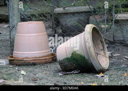 Gros plan de deux pots de plantes en argile altérée abandonnés dans un jardin de village dans le Bangladesh rural. L'un est renversé, l'autre repose sur son côté avec du vert Banque D'Images