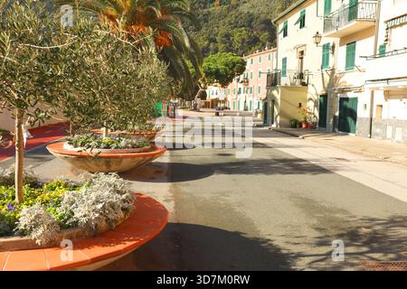 Bâtiments traditionnels et maisons dans la rue à Riva Trigoso, Ligurie. Nature et architecture de l'Italie. Ciel bleu, nuages et toile de fond pour la conception. Banque D'Images
