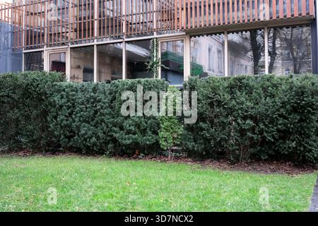 Des arbustes verts luxuriants encadrent un bâtiment contemporain dans un parc urbain animé. Banque D'Images