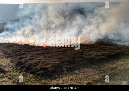 Feu de landes sur Blakey Ridge, parc national de North York Moors Banque D'Images