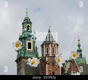 Cracovie Pologne. Site classé au patrimoine mondial de l'UNESCO et abrite le château historique de Wawel qui surplombe la ville. Banque D'Images