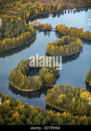 Vue aérienne, Heidesee Kirchhellen Grafenwald, îles avec forêt d'automne, feuilles d'automne colorées, puits de montagne, extraction de charbon par la mine Prosper Banque D'Images