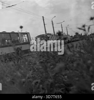 Slavyansk, Ukraine, URSS - 1983 : une vue artistique en bas angle du parking du dépôt de trolleybus, prise à travers l'herbe floue au premier plan. Une rangée de trolleybus soviétiques ZiU-9 se dresse sur l'asphalte, avec le numéro de flotte 23 visible au centre. Les fils de contact aériens et les lampadaires s'étendent au loin contre un ciel nuageux. Cette photo d'archive en noir et blanc contraste la nature avec les machines industrielles, capturant l'atmosphère calme et le paysage urbain de la paisible ville industrielle de Donbass. Banque D'Images