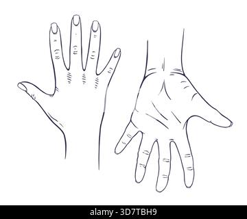 Deux mains dessinées à la main croquis sur fond blanc Illustration de Vecteur