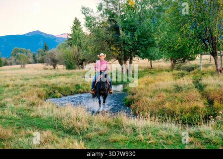 Un cow-boy monte un cheval noir à travers un ruisseau clair dans une prairie verdoyante avec des montagnes. Oregon, États-Unis Banque D'Images