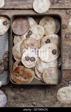 Graines. Graines et gousses de graines en forme de disque argenté provenant de fleurs honnêtes, également connues sous le nom de Lunaria annua, recueillies dans une boîte métallique Banque D'Images