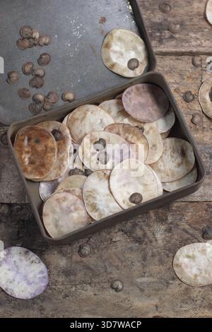 Graines. Graines et gousses de graines en forme de disque argenté provenant de fleurs honnêtes, également connues sous le nom de Lunaria annua, recueillies dans une boîte métallique Banque D'Images