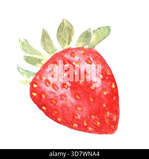 Isolez la délicieuse fraise aromatique dessinée à la main à l'aquarelle sur fond isolé pour la conception de menu, la publicité dans la boulangerie, la confiserie, STO Banque D'Images