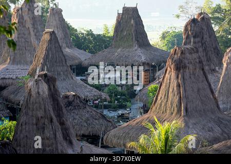 Vue rapprochée des toits hauts en chaume uniques des maisons traditionnelles du clan Uma dans le village historique de Praijing sur l'île de Sumba, Indonésie. Banque D'Images