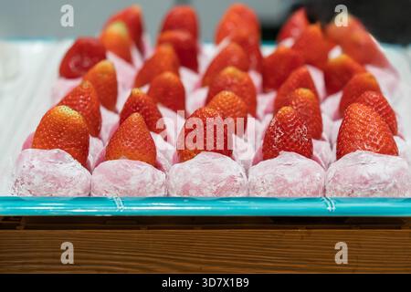 Le daifuku à la fraise, ou ichigo daifuku, est une confiserie japonaise populaire (wagashi). Banque D'Images