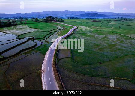 Vue aérienne par drone d'une route sinueuse près de la cascade Wee Kacura, traversant des rizières vibrantes et des palmiers sur l'île de Sumba, en Indonésie Banque D'Images