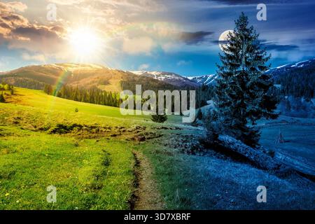 beau temps printanier dans les montagnes. concept de changement de jour et de nuit. épicéa sur une prairie herbeuse avec soleil et lune. crête de montagne lointaine wi Banque D'Images