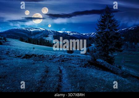beau temps printanier dans les montagnes la nuit. épicéas sur une prairie herbeuse en pleine lune. crête de montagne lointaine avec des sommets enneigés. toile de fond f Banque D'Images