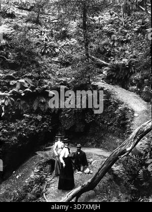 Emplacement de la forêt tropicale, peut-être Mont Tamborine. F.G. Walker, Margaret Gilpin ( l'épouse de Roll Walker ), et Mary Stuart Douglas Walker, peut-être Mount Tamborine, Queensland. Banque D'Images