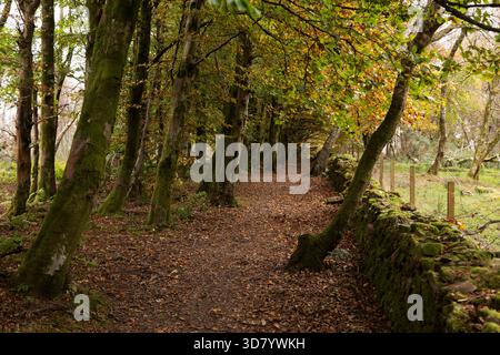 Panneau marquant une zone de biodiversité dans le Balloch Castle Country Park dans le Loch Lomond et le parc national Trossachs en Écosse Banque D'Images