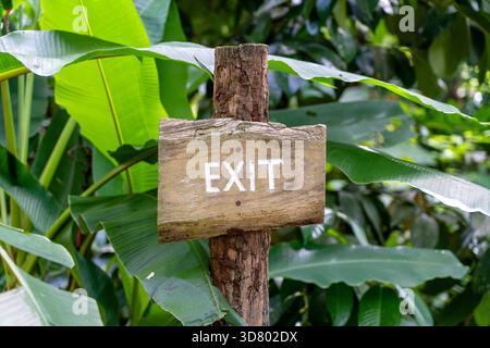 Sortie de texte sur une planche en bois dans une forêt tropicale de l'île de la jungle Bali, Indonésie. Panneau en bois à la sortie de l'inscription dans les pays asiatiques de tropiques. Close up Banque D'Images
