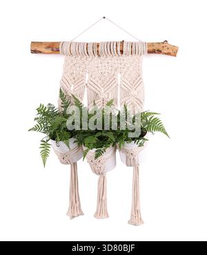 Belles plantes d'intérieur en pot suspendues dans un planteur de macramé isolé sur blanc Banque D'Images