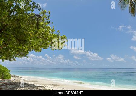 Plage de paradis tropical avec sable blanc et palmiers de coco voyage tourisme concept de fond Banque D'Images