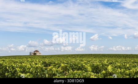 Chapelle en vignoble près de Saint Estèphe dans le Médoc, France, près de la Gironde, Saint-Estèphe, Frankrijk Banque D'Images