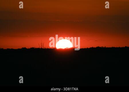 Photo du soleil commençant à se coucher sur les marais de Floride Banque D'Images