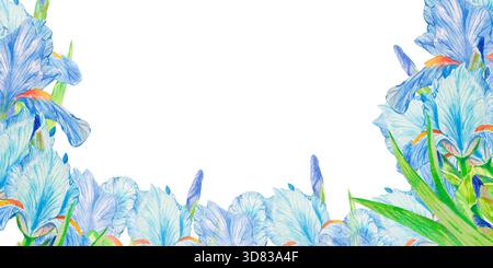 Fleur d'iris. Carte avec fleurs d'iris à l'aquarelle dessinées à la main sur fond blanc. Modèle pour la promotion spa, carte-cadeau de magasin de fleurs, paquet de savon, printemps Banque D'Images