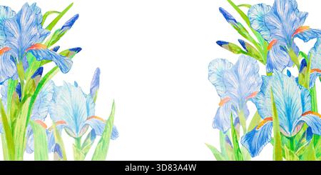 Fleur d'iris. Carte avec fleurs d'iris à l'aquarelle dessinées à la main sur fond blanc. Modèle pour la promotion spa, carte-cadeau de magasin de fleurs, paquet de savon, printemps Banque D'Images