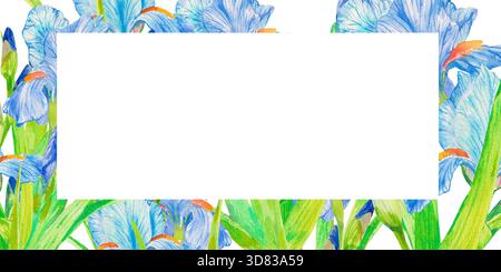 Fleur d'iris. Carte avec fleurs d'iris à l'aquarelle dessinées à la main sur fond blanc. Modèle pour la promotion spa, carte-cadeau de magasin de fleurs, paquet de savon, printemps Banque D'Images