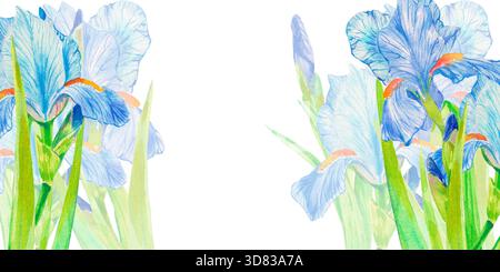Fleur d'iris. Carte avec fleurs d'iris à l'aquarelle dessinées à la main sur fond blanc. Modèle pour la promotion spa, carte-cadeau de magasin de fleurs, paquet de savon, printemps Banque D'Images