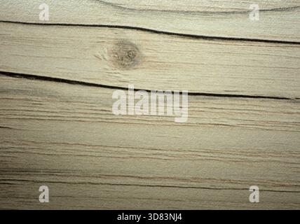 Chêne blanchi, grain de bois naturel avec deux veines noircies, gros plan. Arrière-plan, texture, sans couture. Banque D'Images