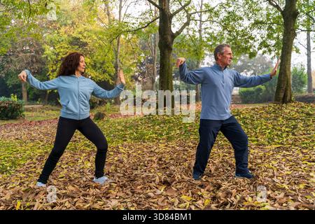 Couple senior effectuant des exercices de tai chi à l'extérieur dans un parc avec des feuilles d'automne tombées Banque D'Images