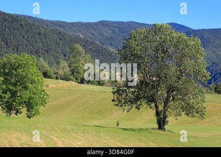 France, Drôme, Vercors, Parc naturel régional du Vercors, Saint-Martin-en-Vercors Banque D'Images