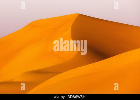 Vue sur les dunes ondulantes de sable doré s'élèvent majestueusement contre un ciel pâle, créant un contraste frappant dans le paysage aride, Rub' al-Khali, United A Banque D'Images