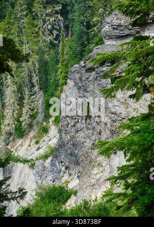 Mont RAINIER NP, WASHINGTON - 14 août 2025 - S'élevant de façon spectaculaire au-dessus de la forêt verdoyante. Washington. , Parc National Banque D'Images