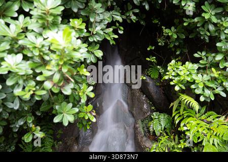 Une cascade étroite et cachée photographiée avec une longue exposition, créant un effet soyeux et doux lorsque l'eau coule sur des roches sombres, encadrée par un éclat éclatant Banque D'Images