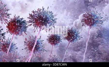 Illustration de Mucor sp. colonies de moisissures poussant dans des environnements humides et humides. Banque D'Images