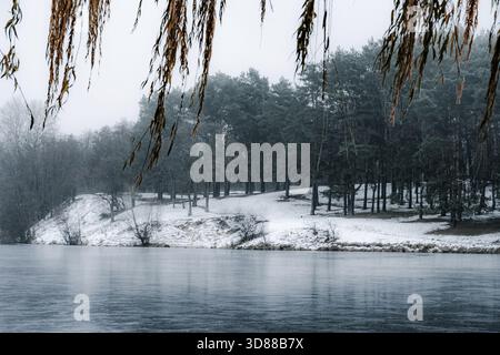 Un paysage hivernal serein avec un lac gelé bordé par une dense forêt de pins. La neige recouvre le plancher forestier et le brouillard dérive à travers la cime des arbres, c Banque D'Images
