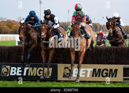 Newcastle, Royaume-Uni, samedi 29 novembre 2025 ; Alcedo et le jockey Ned Fox remportent les Jumpers de Paul Ferguson pour suivre handicap Steeple Chase pour l'entraîneur Venetia Williams et le propriétaire Mr P. Davies. Crédit JTW Equine images / Alamy Live News. Banque D'Images