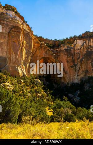 La Ventana Natural Arch a été créée en grès Jurassic Zuni il y a environ 160 milion ans. La région d'El Malpais est une terre de merveilles volcaniques. National Con Banque D'Images