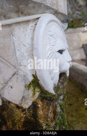 Gros plan vertical et vue de profil de l'une des têtes de lion altérées sur la fontaine vénitienne à Spili, mettant en évidence la texture de la pierre et la mousse verte Banque D'Images