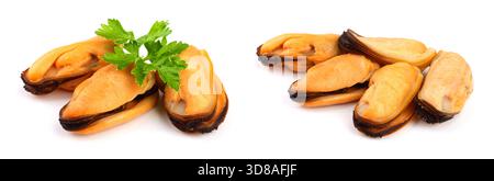trois moules avec feuille de persil isolé sur fond blanc Banque D'Images