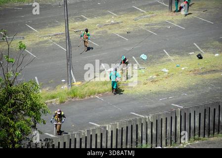 Salvador, Bahia, Brésil - 28 novembre 2025 : on voit des travailleurs de la ville tondre de l'herbe et des mauvaises herbes tout en portant un équipement de protection. Salvador, Bahia. Banque D'Images