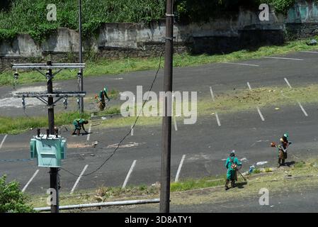 Salvador, Bahia, Brésil - 28 novembre 2025 : on voit des travailleurs de la ville tondre et nettoyer un parking à Salvador, Bahia. Banque D'Images