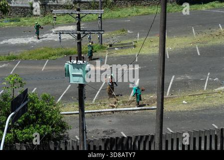 Salvador, Bahia, Brésil - 28 novembre 2025 : on voit des travailleurs de la ville tondre de l'herbe et des mauvaises herbes tout en portant un équipement de protection. Salvador, Bahia. Banque D'Images