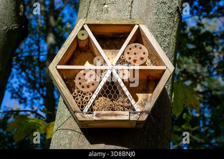 Vue rapprochée d'un hôtel d'insectes en bois monté sur un arbre à Berlin, en Allemagne. Banque D'Images