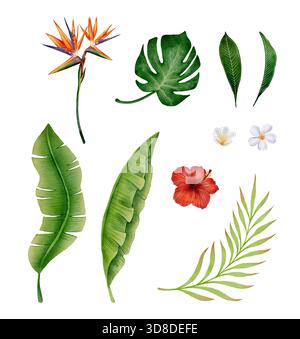 Aquarelle tropicale avec fleur oiseau de paradis, monstera et feuilles de banane, hibiscus et plumeria. Clipart botanique pour la conception estivale, invitations, cartes, affiches et décoration d'emballage. Banque D'Images