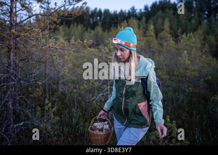 Randonneur féminin à la recherche de champignons sauvages dans les bois sombres en utilisant la lumière du front sur la saison d'automne. Chasse aux champignons le soir, cueillette d'automne dans la forêt, explorateur solo, collecte par temps froid || modèle libéré Banque D'Images