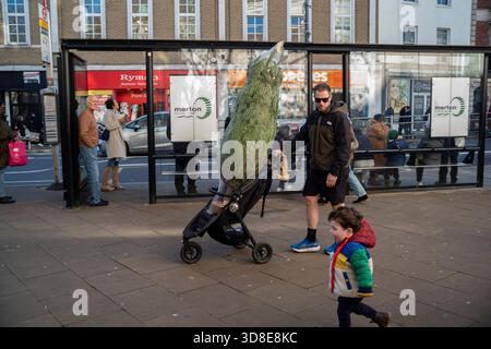 Wimbledon, Londres, Royaume-Uni. 30 novembre 2025. Un père pousse la poussette de son enfant portant leur sapin de Noël tandis que leur fils court le long du côté excité. Les familles sortent à Wimbledon acheter leurs sapins de Noël pour les ramener à la maison le premier week-end de décembre prêt pour le début de la saison des fêtes. SW19, Southwest London, Angleterre, Royaume-Uni 30 novembre 2025 crédit : Jeff Gilbert/Alamy Live News Banque D'Images
